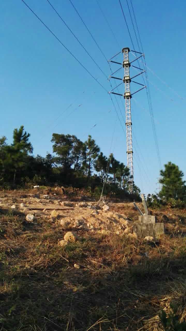 9397至尊品牌源于信誉