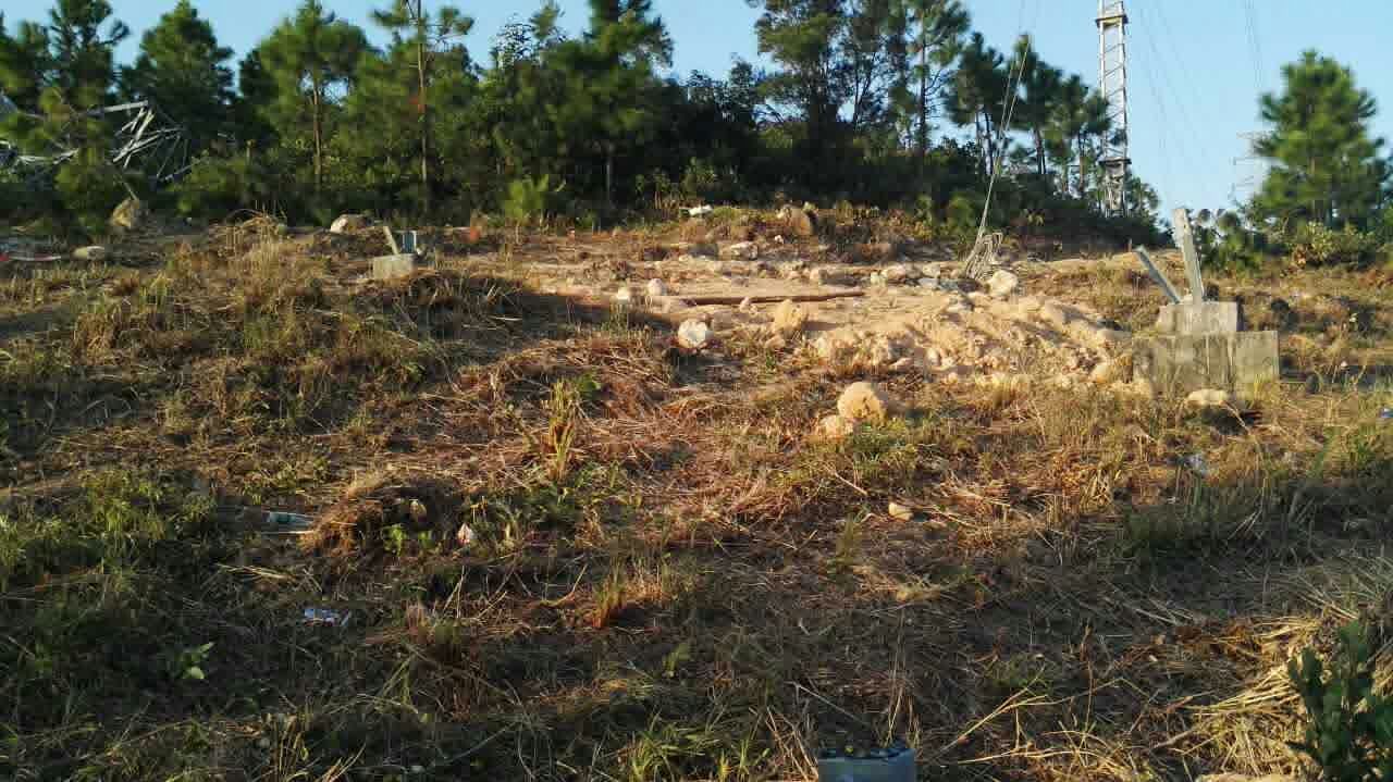 9397至尊品牌源于信誉