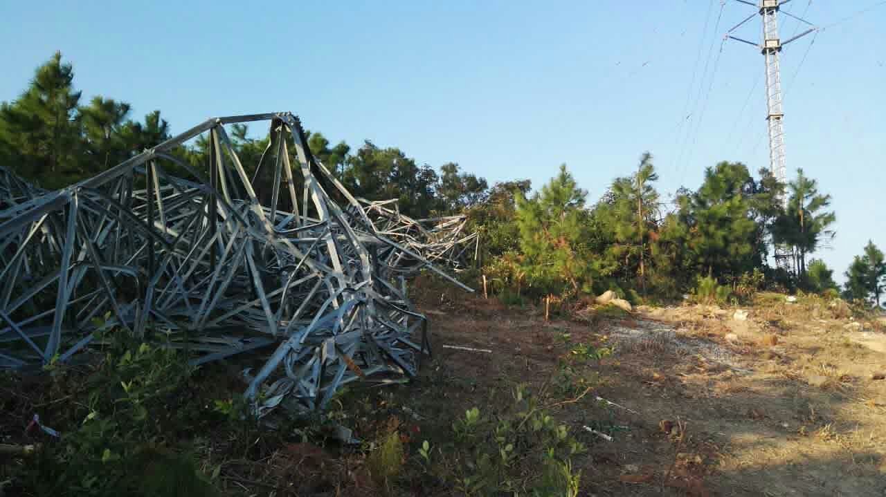 9397至尊品牌源于信誉