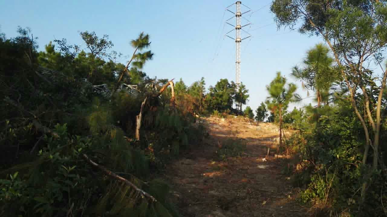 9397至尊品牌源于信誉