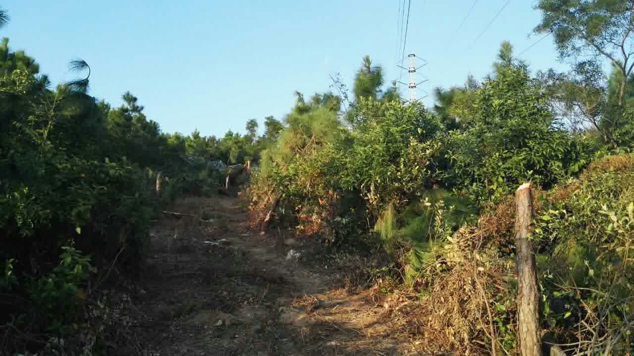 9397至尊品牌源于信誉