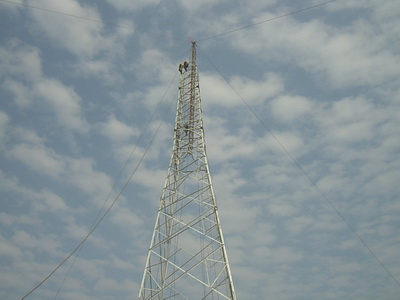 9397至尊品牌源于信誉