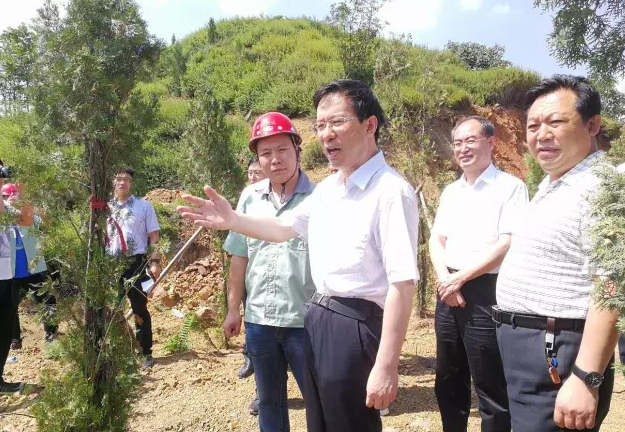 9397至尊品牌源于信誉