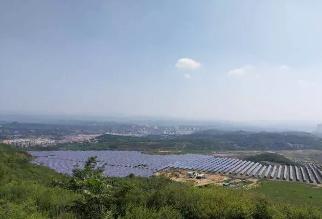 9397至尊品牌源于信誉