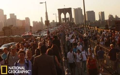 9397至尊品牌源于信誉