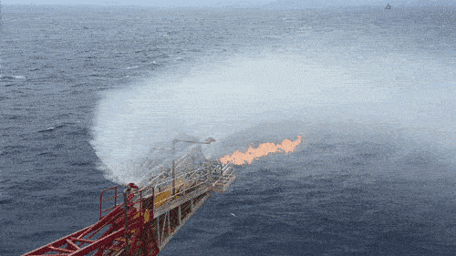 9397至尊品牌源于信誉