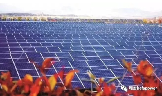 9397至尊品牌源于信誉