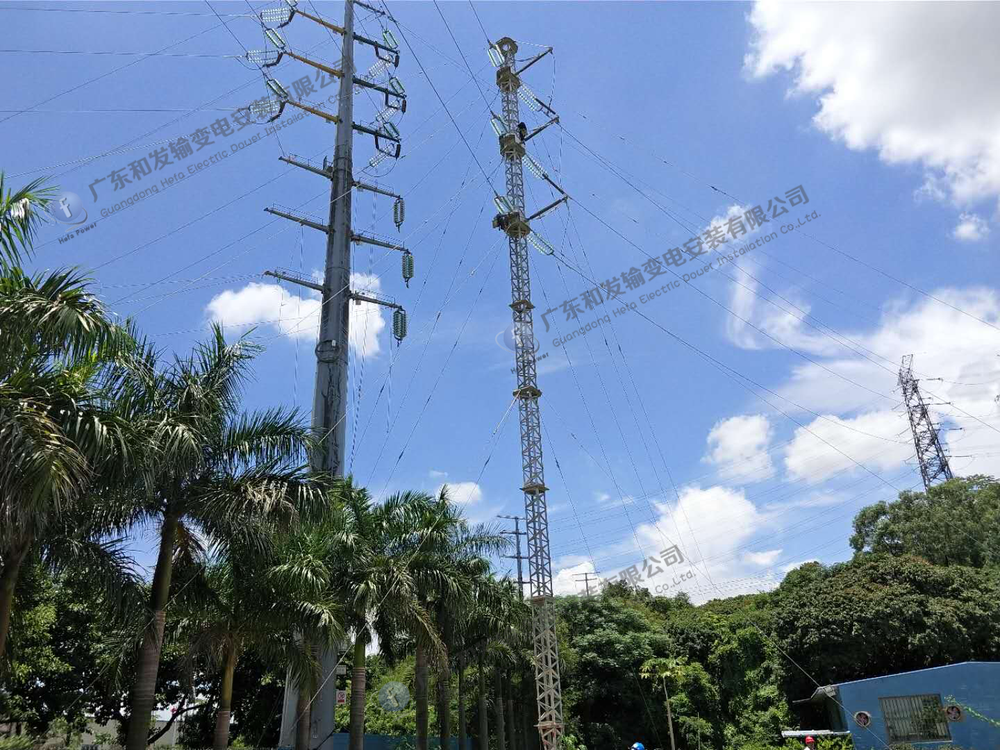 9397至尊品牌源于信誉