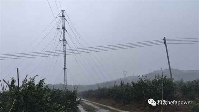 9397至尊品牌源于信誉