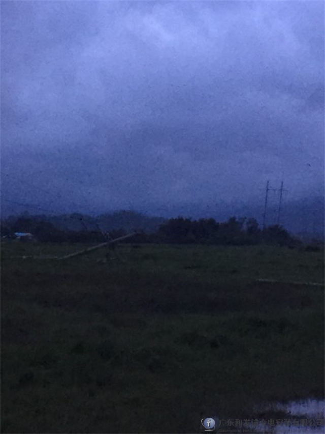 9397至尊品牌源于信誉