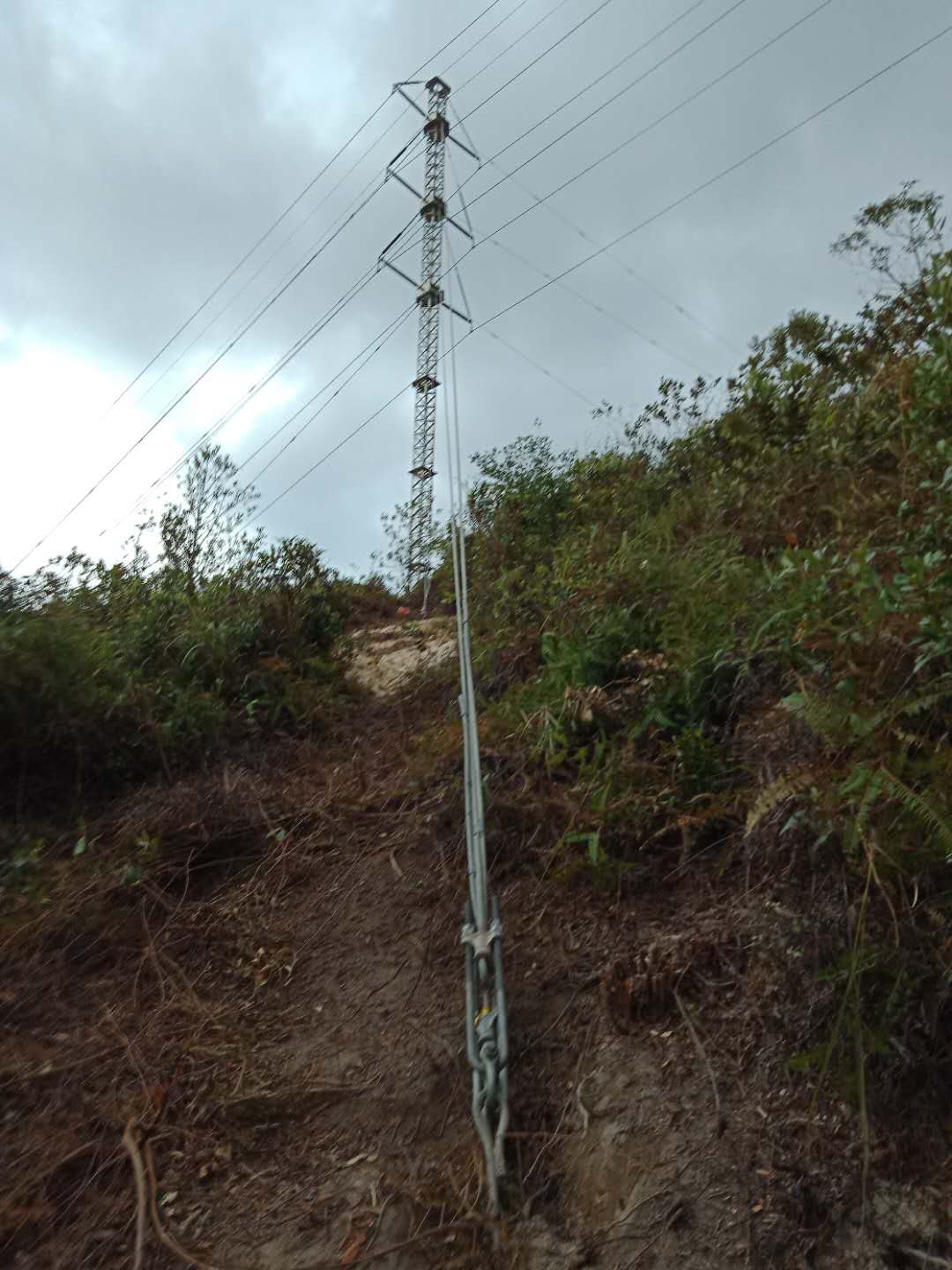 9397至尊品牌源于信誉