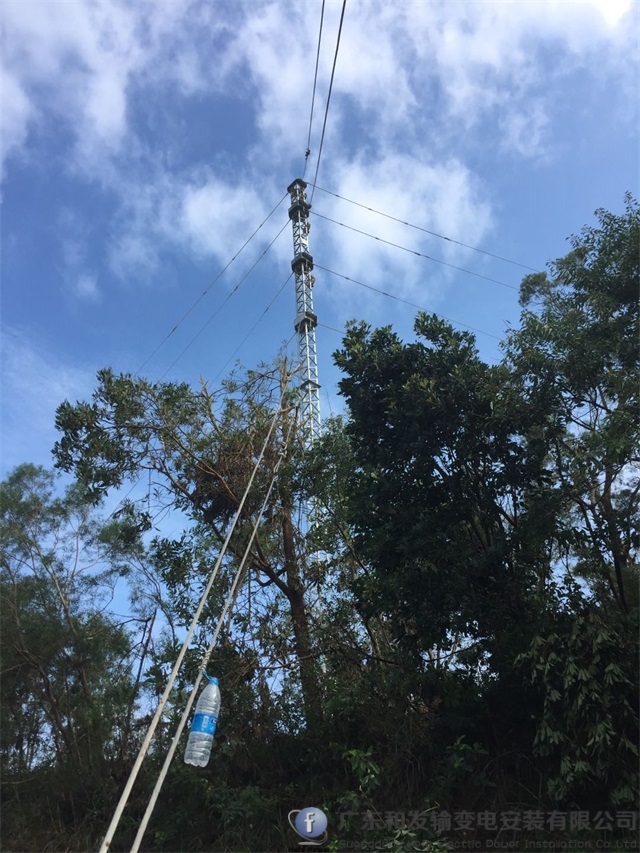 9397至尊品牌源于信誉