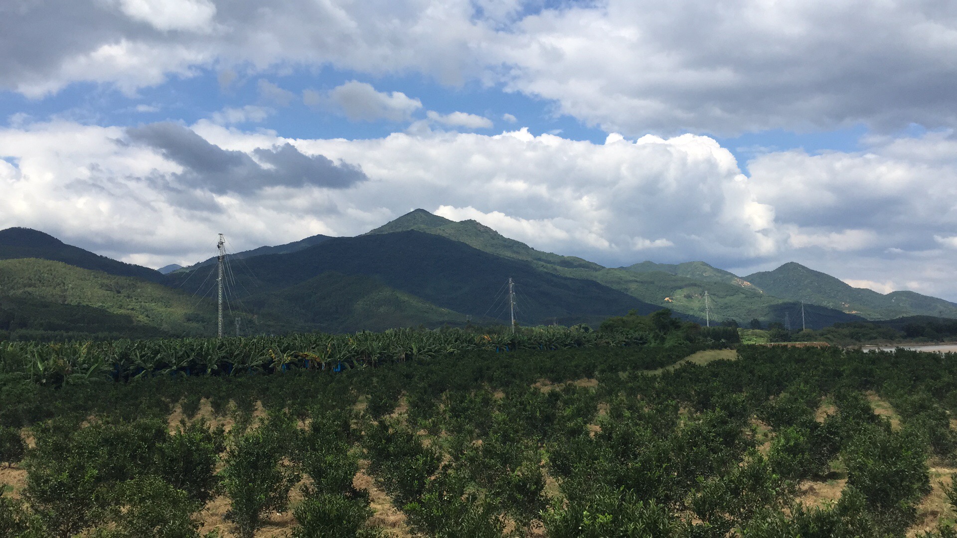 9397至尊品牌源于信誉