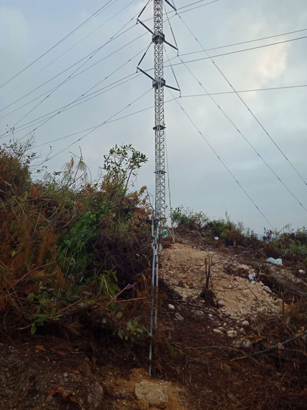 9397至尊品牌源于信誉