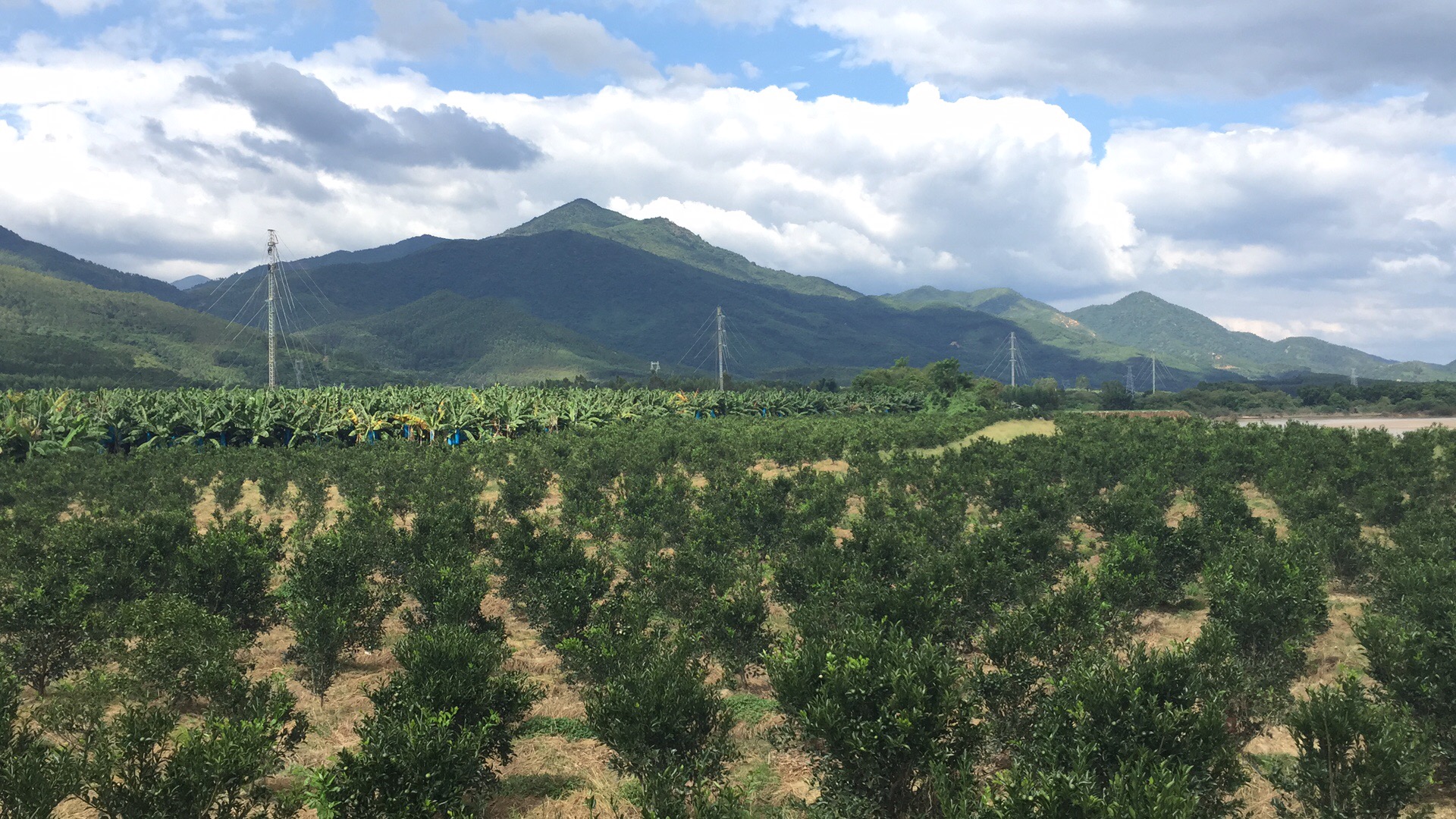 9397至尊品牌源于信誉