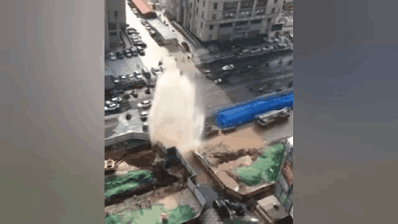 9397至尊品牌源于信誉