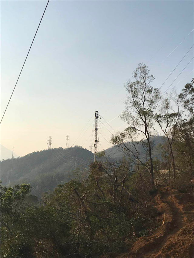 9397至尊品牌源于信誉