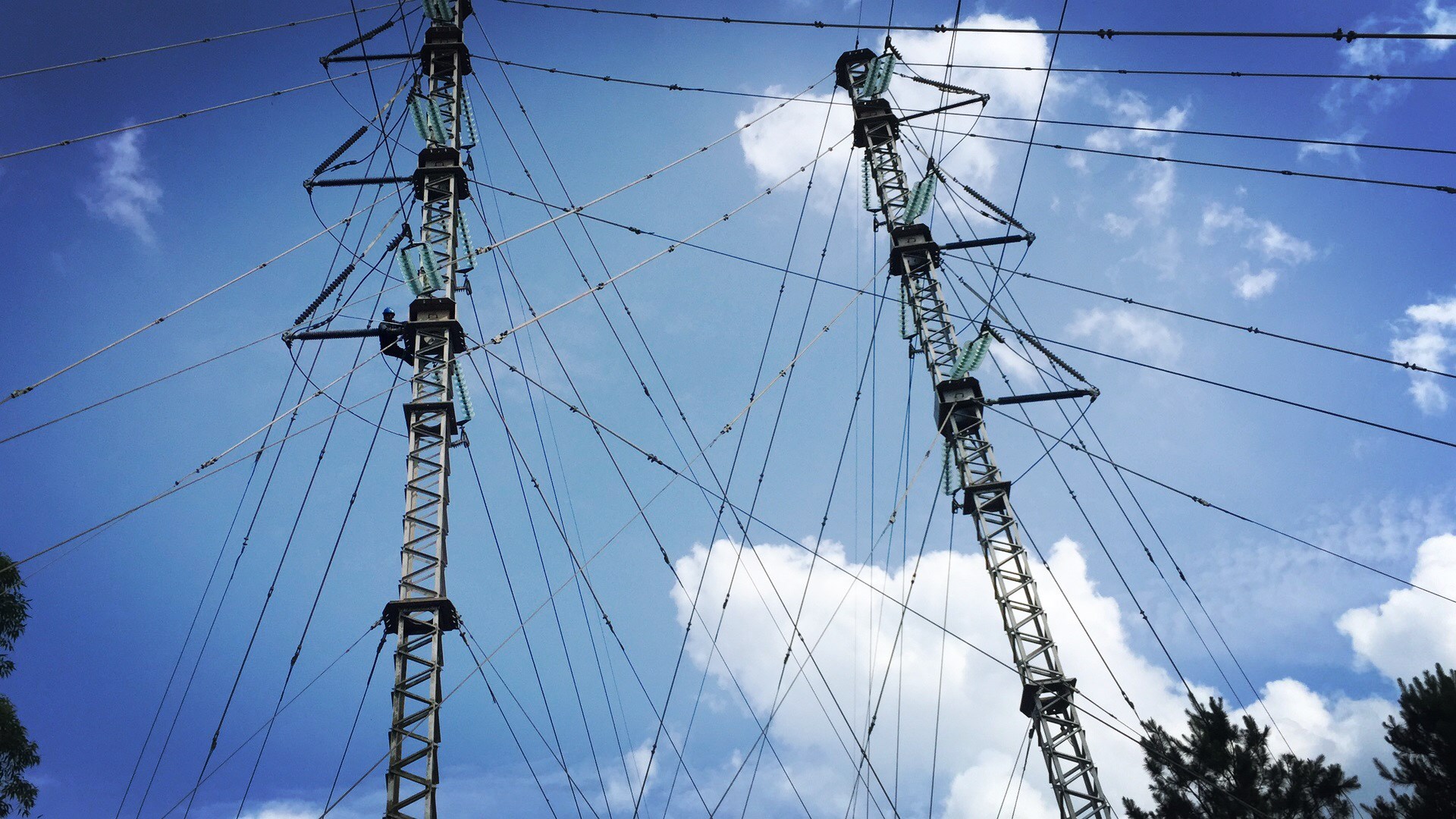 9397至尊品牌源于信誉