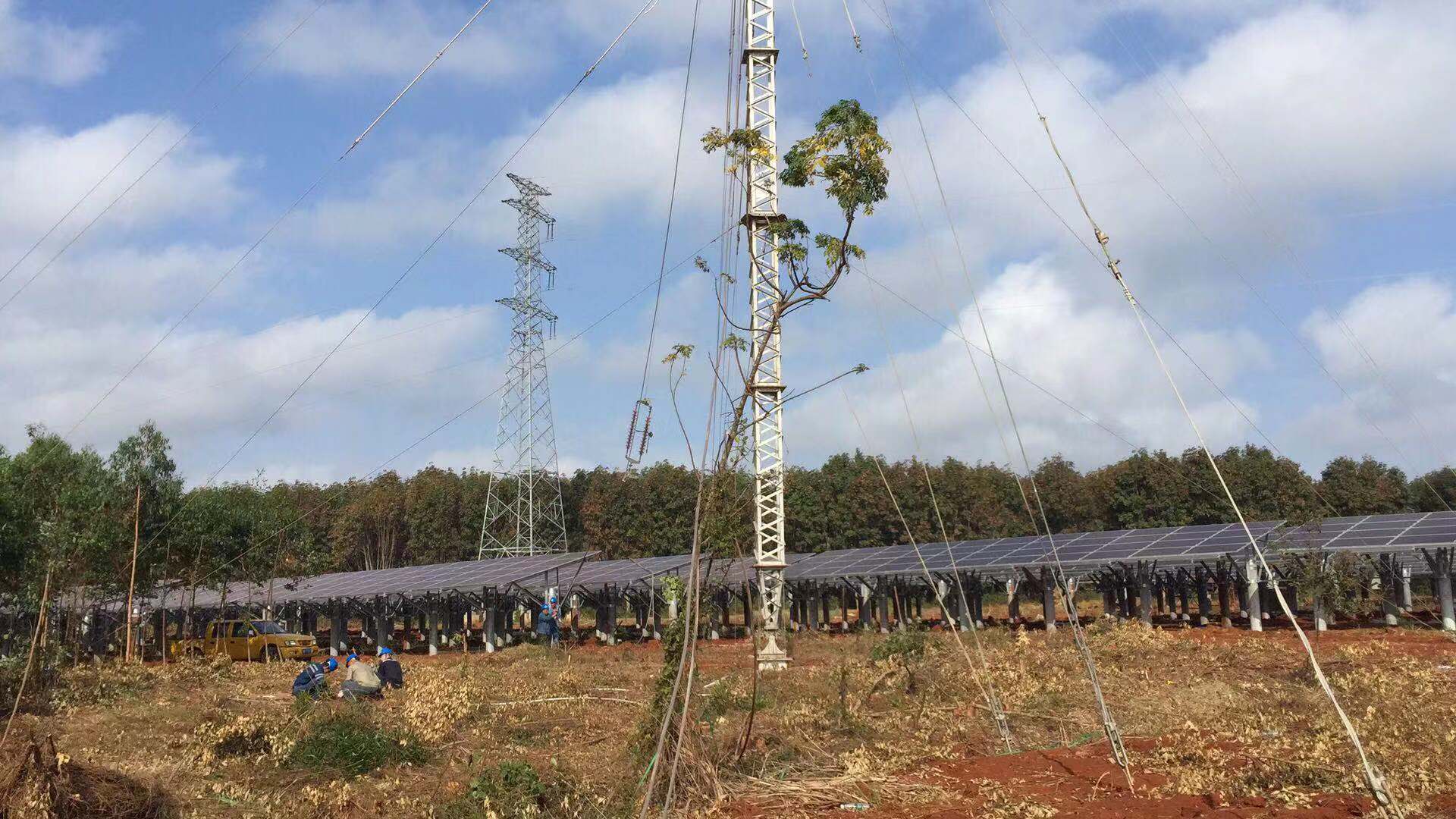 9397至尊品牌源于信誉