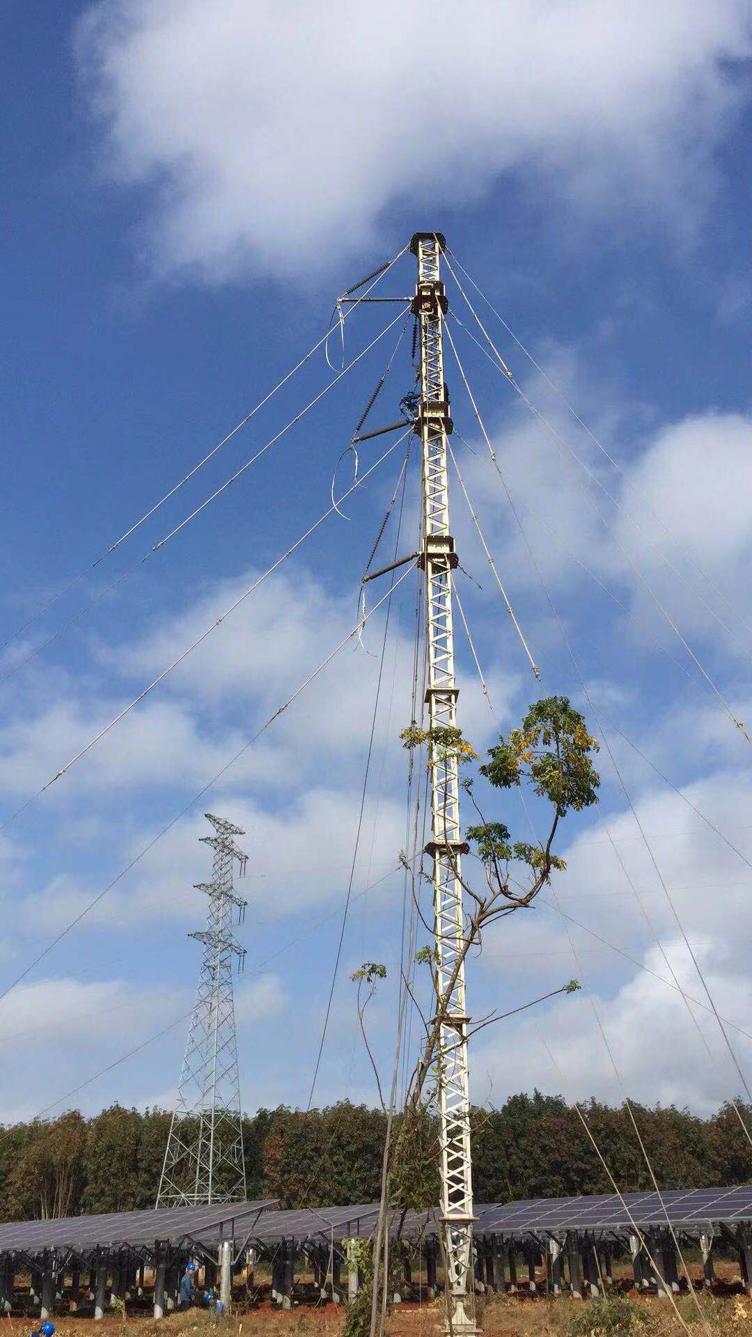 9397至尊品牌源于信誉