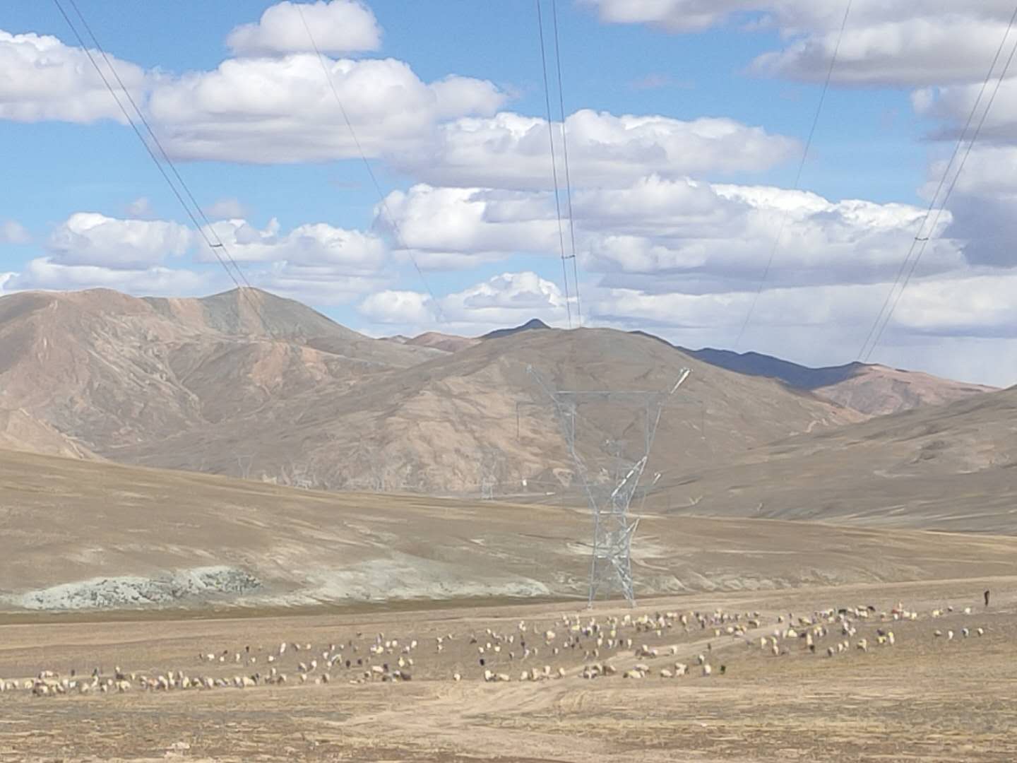 9397至尊品牌源于信誉