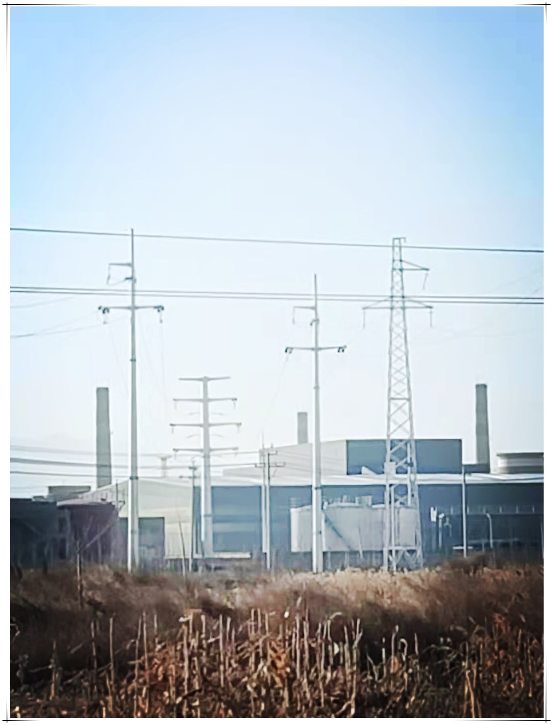 9397至尊品牌源于信誉