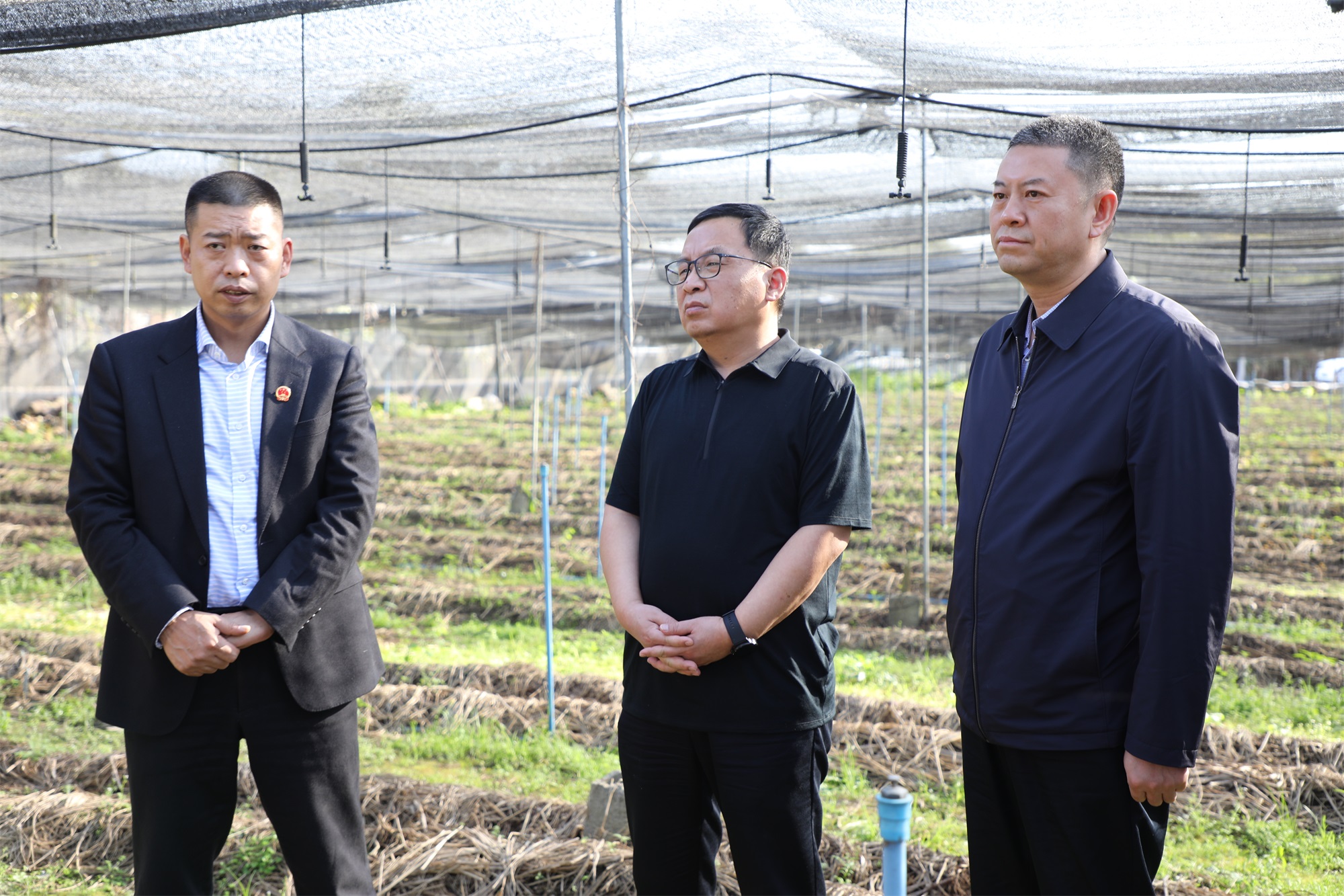 9397至尊品牌源于信誉