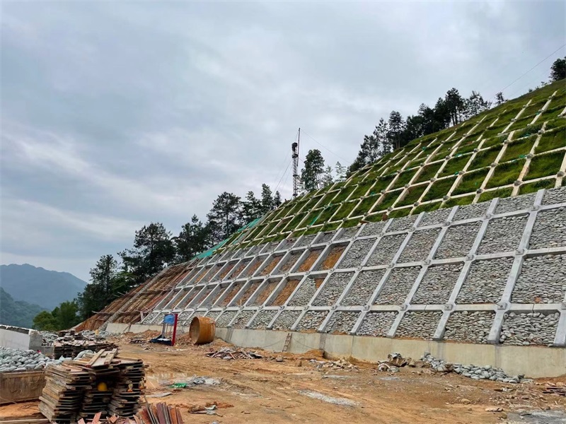 9397至尊品牌源于信誉