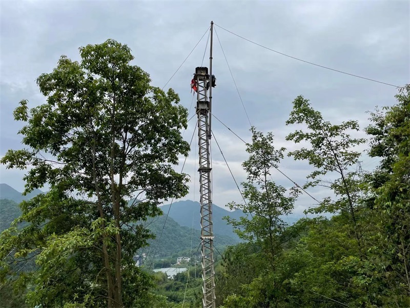 9397至尊品牌源于信誉