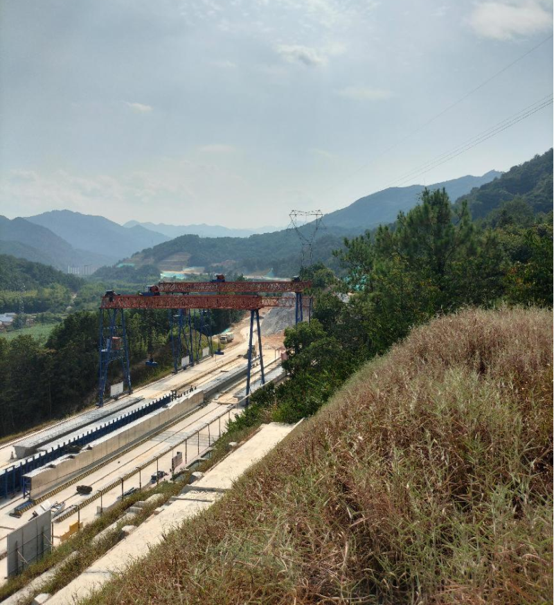 9397至尊品牌源于信誉