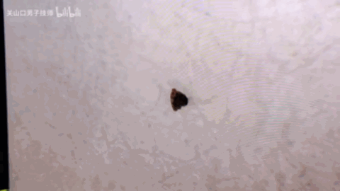 9397至尊品牌源于信誉