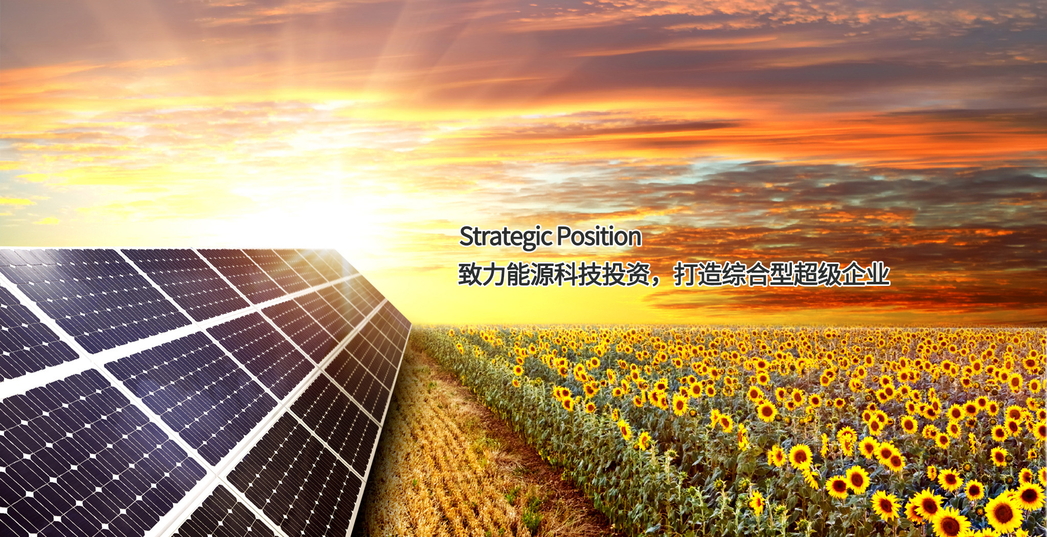 9397至尊品牌源于信誉