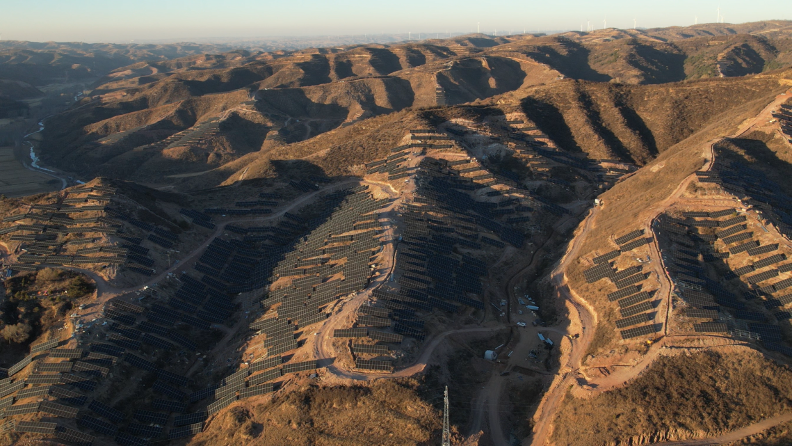 9397至尊品牌源于信誉